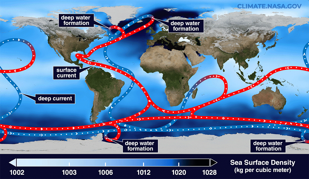 Global Ocean Circulation GIF NASA