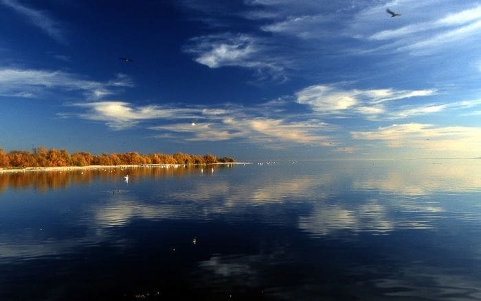 Salton Sea wiki res