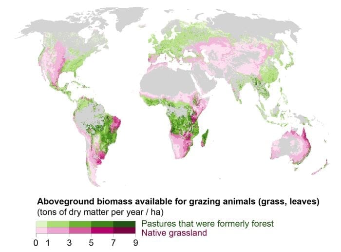 Image: Graphic (s. beef reduction)