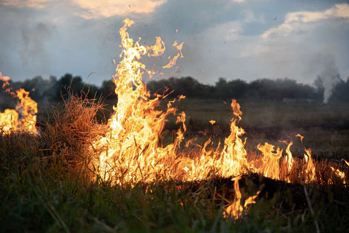 Illegal farm fires fuel Indian capital’s smog misery