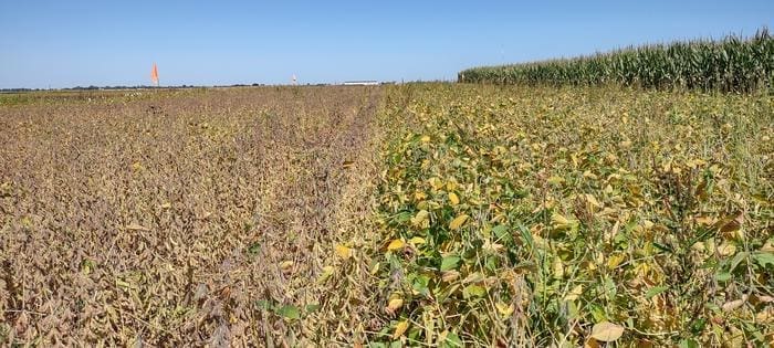 Climate Science Digest: November 20, 2024 field test planting dates