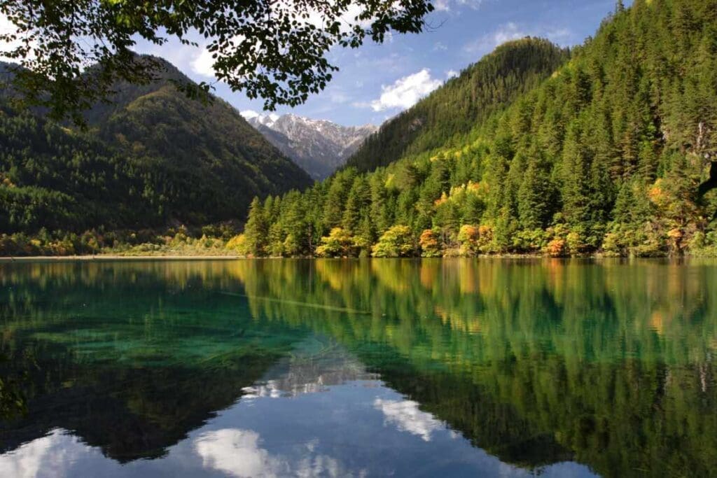 Natural carbon sinks alone cannot halt global warming lake green mountains jiuzhaigou res