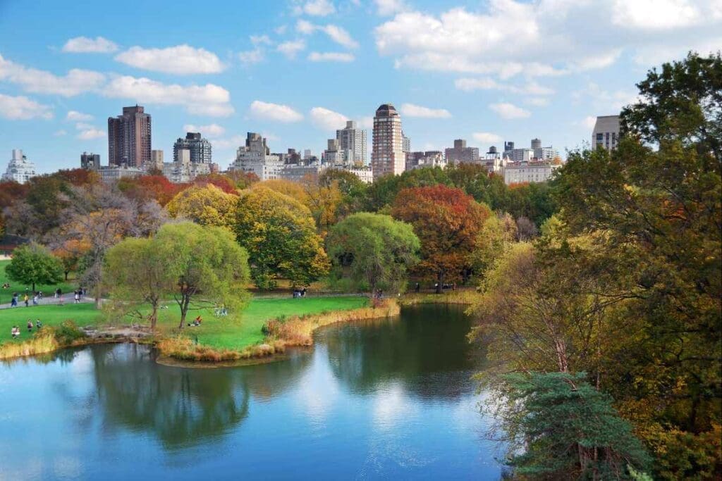 How many trees does it take to cool a city? Image: New York City Central Park
