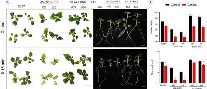 nph20186 effects res