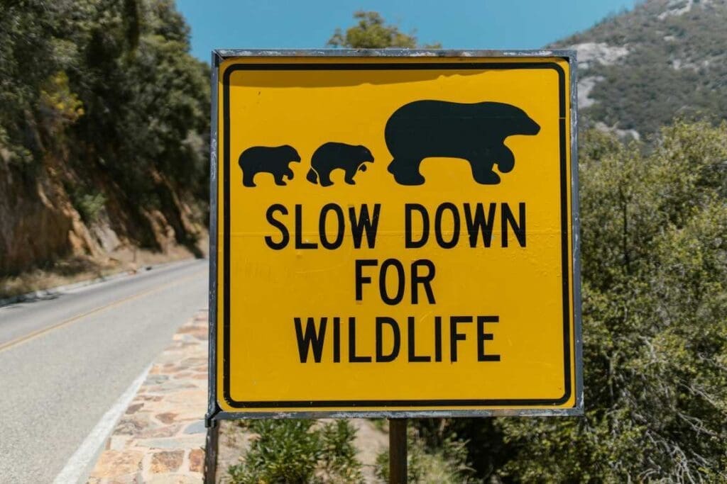 Deadly Spain floods held up as warning at nature protection summit Image: Yellow warning sign