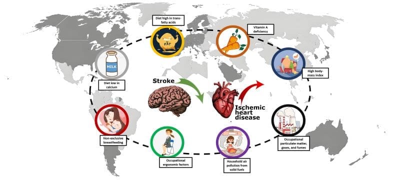 Climate Science Digest: November 20, 2024 plos trends stroke heart disease res