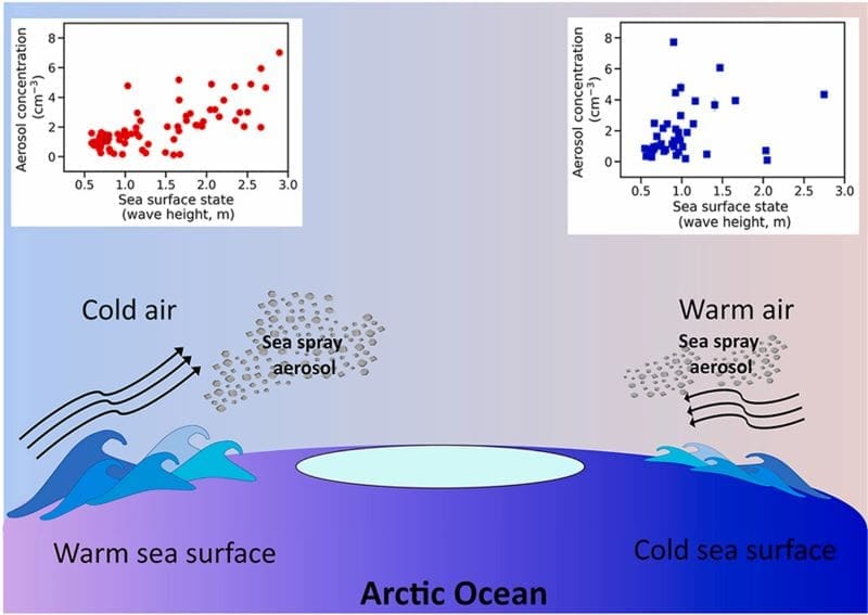 Image: Graphical abstract (s. sea spray aerosols)