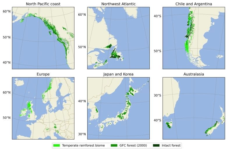 tropical rainforest deci study res