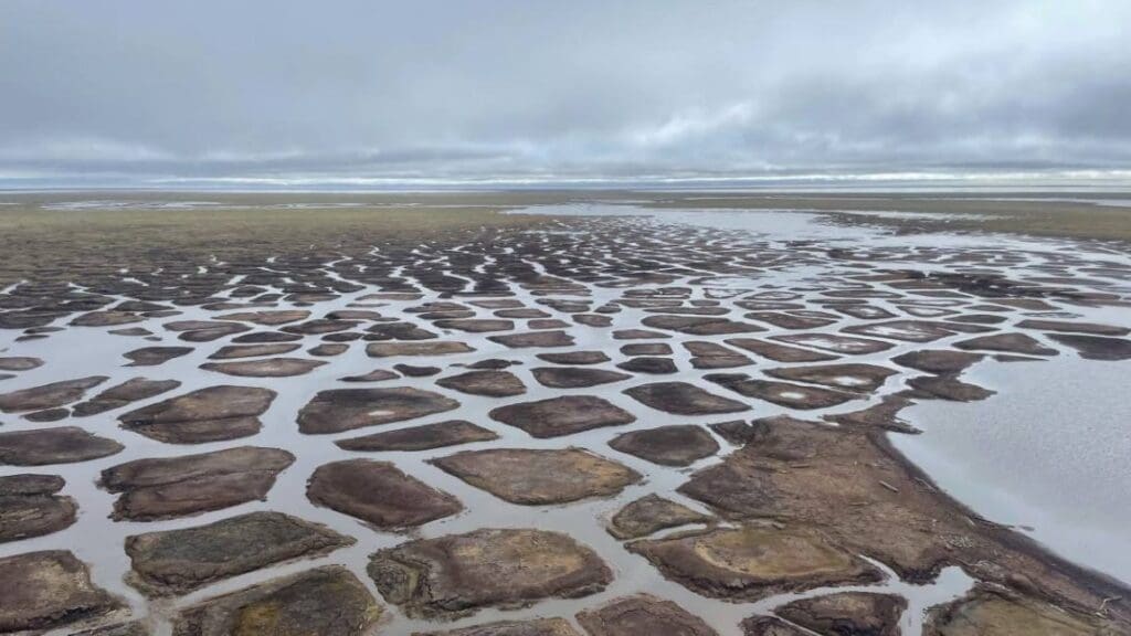 Marine flooding degrades permafrost near Point Lonely, Alaska