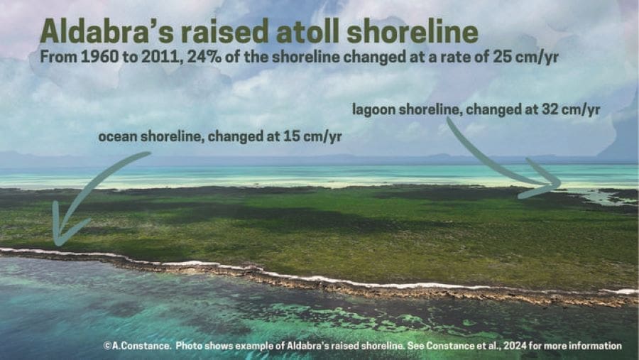 Aldabra raised atoll shoreline res