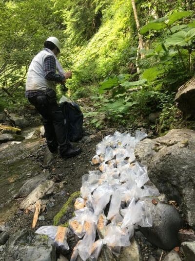Image: Bag samples (s. Prehistoric rock in Japan uncovers the timeline of ancient ocean anoxia)