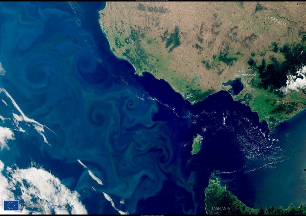 Image of the day: Summer phytoplankton bloom off Melbourne, Australia 1 BloomAustralia A3 v2 res