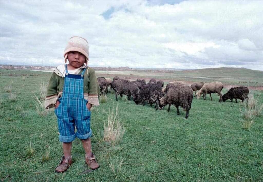 Modern slavery rises to 50 million victims: A global crisis deepens Bolivia child with his flock