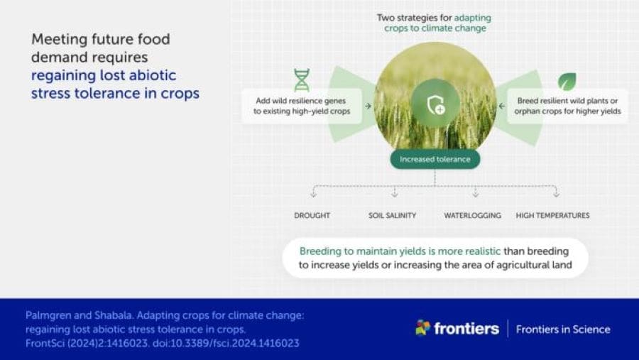 Climate Science Digest: December 5, 2024 1 INFOGRAPHIC Adapting crops for climate change res