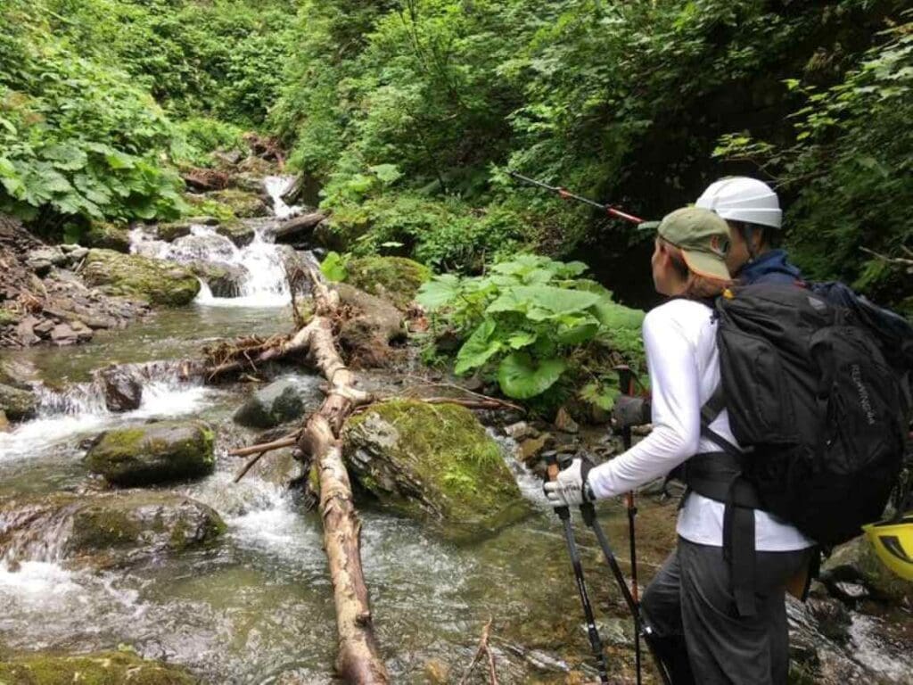 Researchers hike up the side of Mount Ashibetsu in Japan