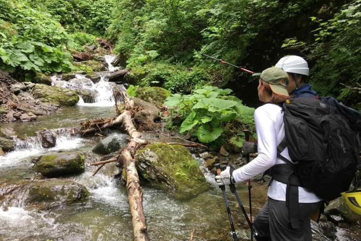 Researchers hike up the side of Mount Ashibetsu in Japan