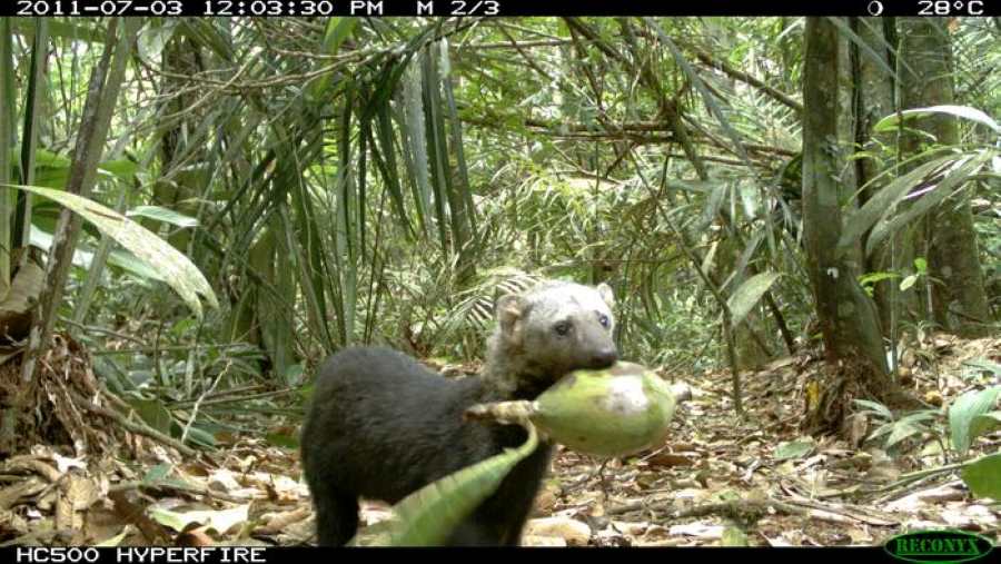Tayra Porto res