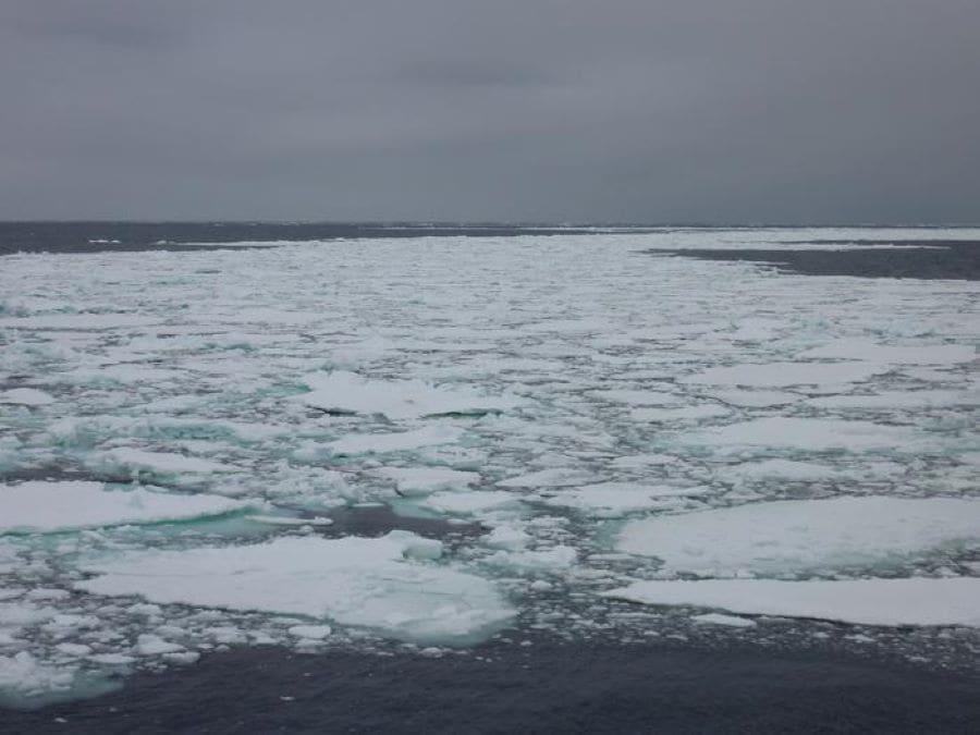 Climate Science Digest: December 10, 2024 1 TimvanPeer res