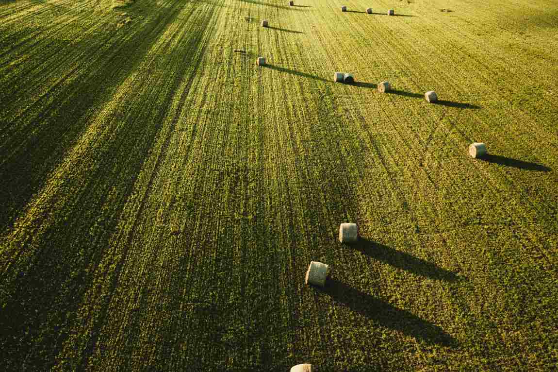 Image: Large beautiful agricultural field with stacks of hay shot from above