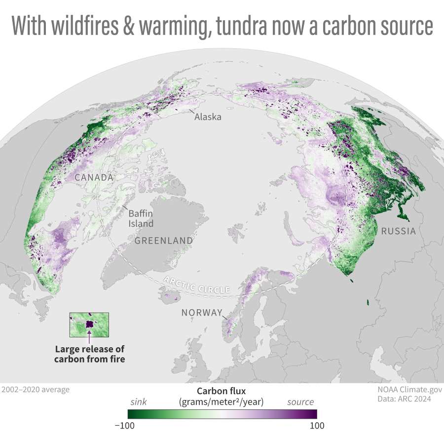 Image: Carbon flux (s. Arctic tundra, climate)