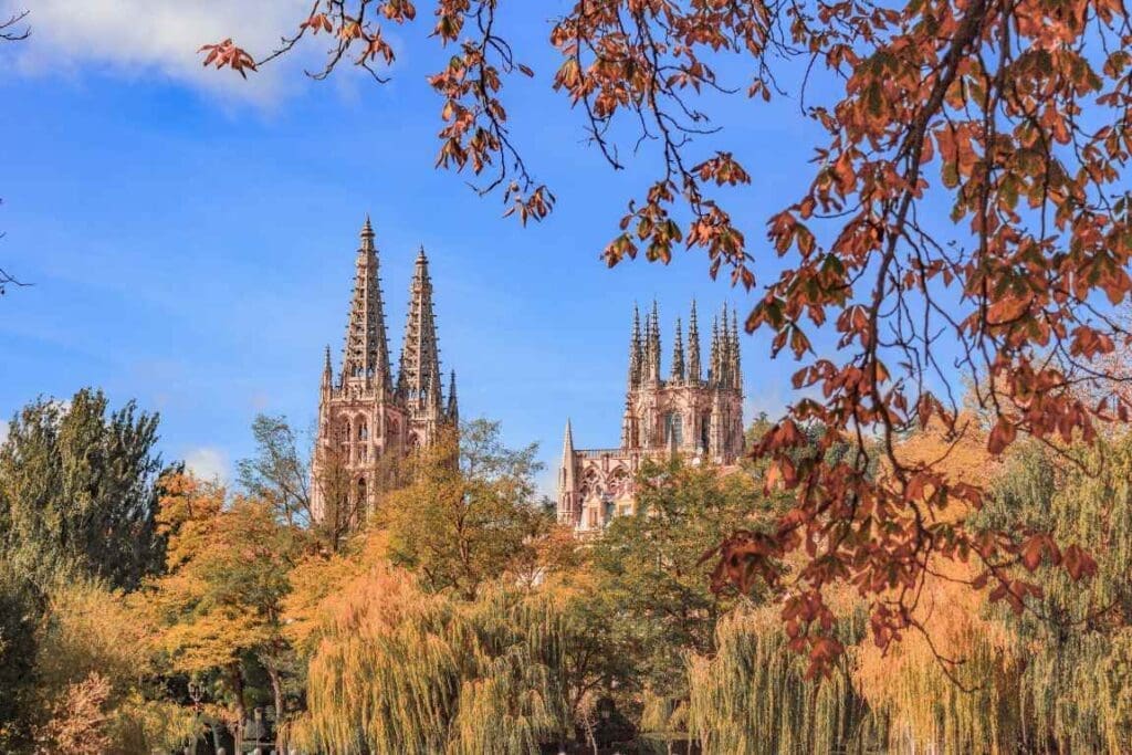 Image: Burgos cathedral surrounded by trees in a city of spain