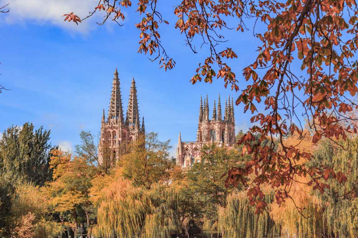 Image: Burgos cathedral surrounded by trees in a city of spain