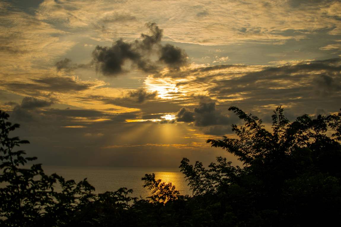 Mayotte faces environment, biodiversity crisis after cyclone