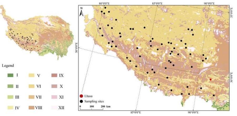 Image: Locations of 59 lakes sampled for sedimentary DNA analysis, overlaid on a vegetation map of the Tibetan Plateau