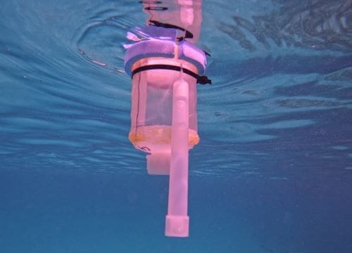 m coral res