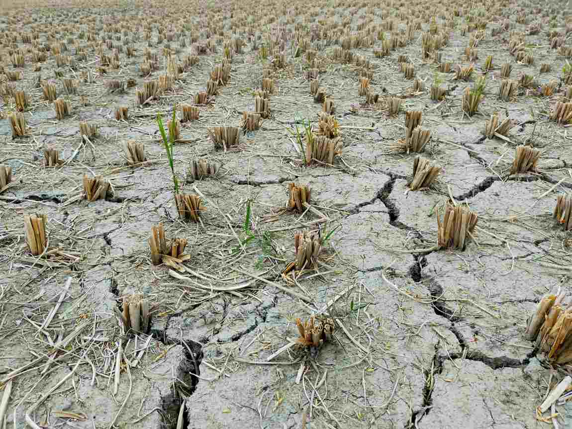 Severe drought