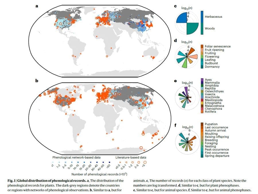 Global distribution of phenological records (s. climate change, plants, animals)
