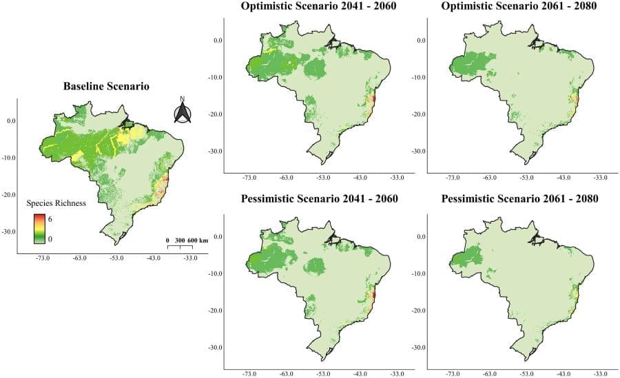 Conservation challenges for Brazilian primates and the role of protected areas in a changing climate (maps)