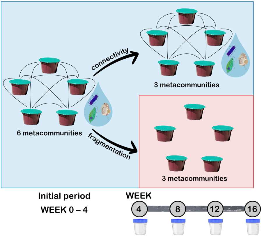 study microbial res