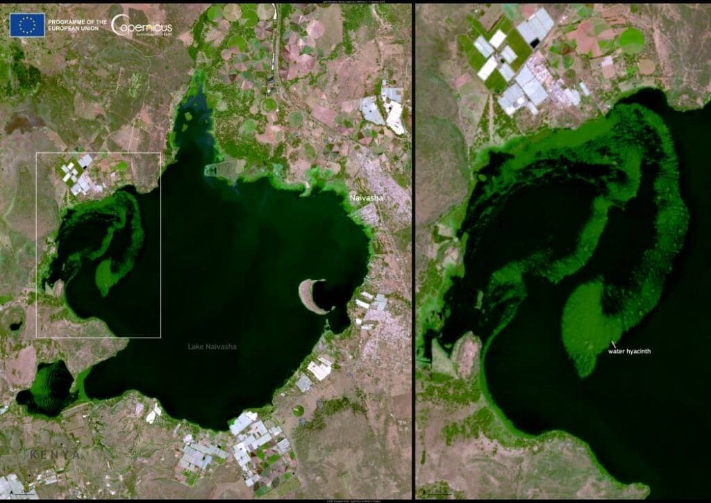 Lake Naivasha, Kenya - satellite images