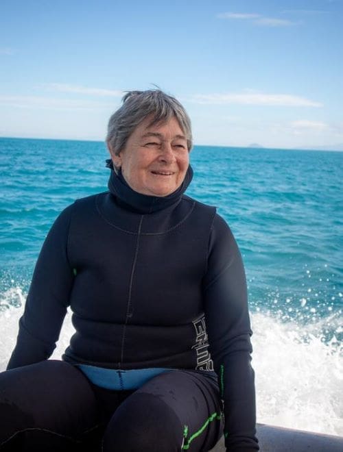 Senior author Professor Maria Byrne on the Great Barrier Reef