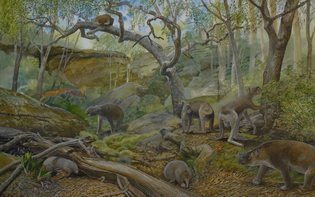 Prehistoric kangaroos' adaptable diets unlock secrets of survival Reconstruction of the Naracoorte Caves during the Pleistocene. Credit: Peter Schouten