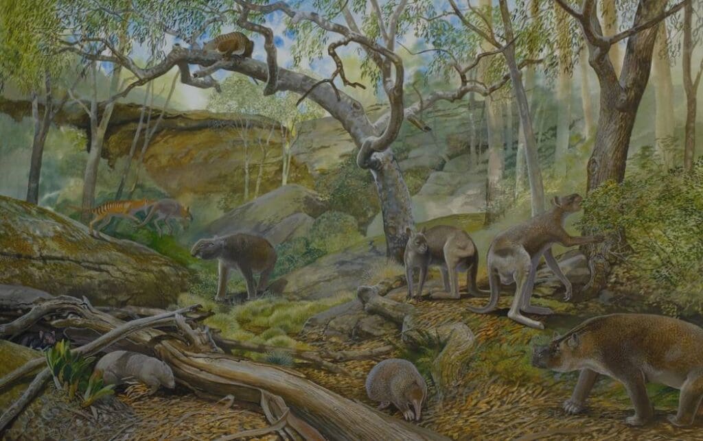 Reconstruction of the Naracoorte Caves during the Pleistocene. Credit: Peter Schouten