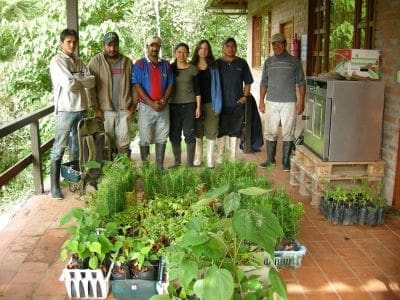 The team, led by Daisy Cárate Tandalla (centre), working with tree seedlings for a transplantation experiment in the San Francisco Reserve, Ecuador, 2013
