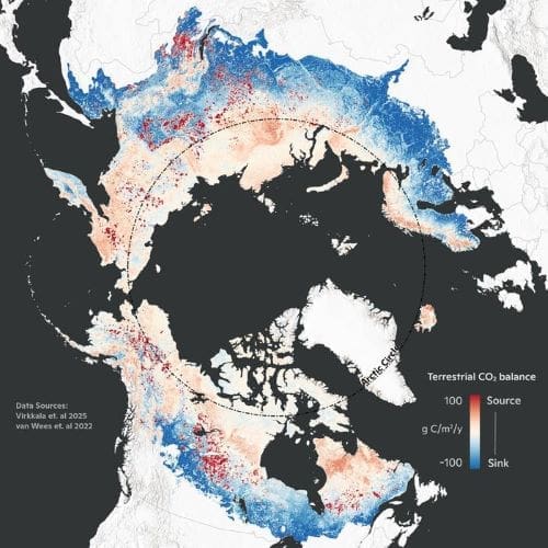 Graphic: Average terrestrial CO2 balance from 2001-2020 based on a synthesis of field measurements and machine learning models (Arctic region)