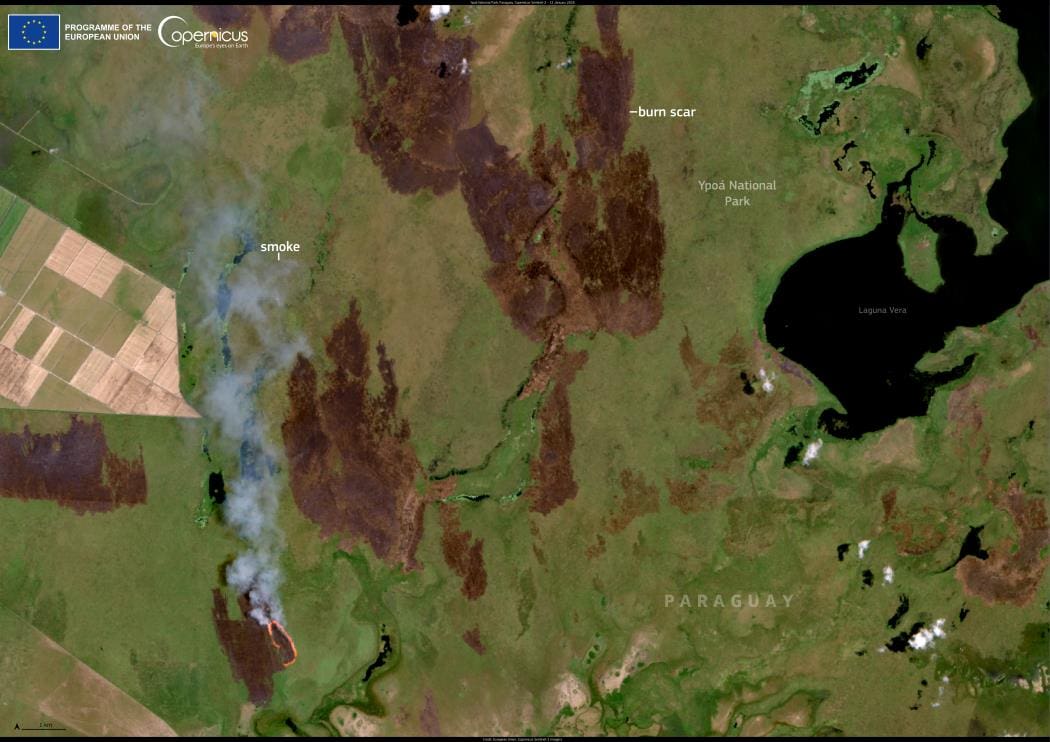 Image of the Day: Wildfires ravage Ypoá National Park, Paraguay