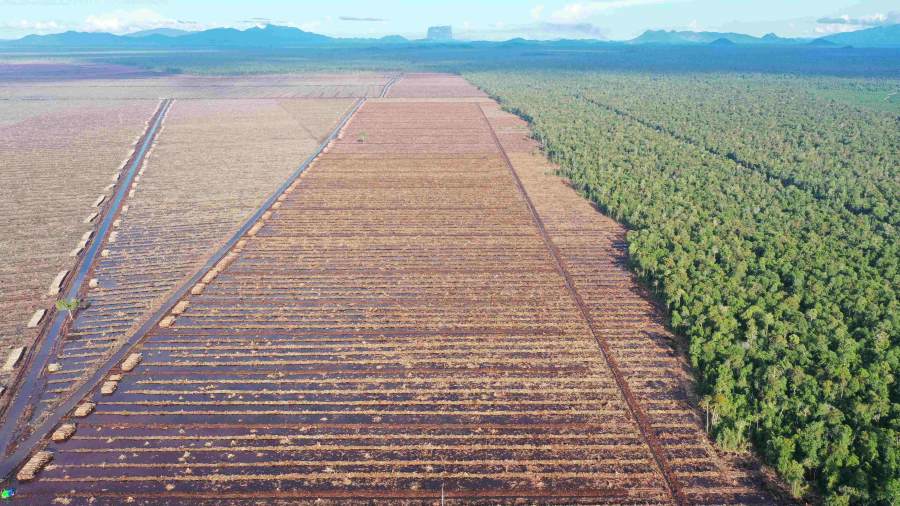 Aerial image showing deforestation on carbon-rich peatlands in PT Mayawana Persada’s pulpwood concession, July 2023, Indonesia