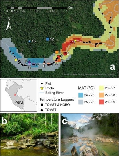 Image in study 'Hotter Temperatures Reduce the Diversity and Alter the Composition of Woody Plants in an Amazonian Forest'