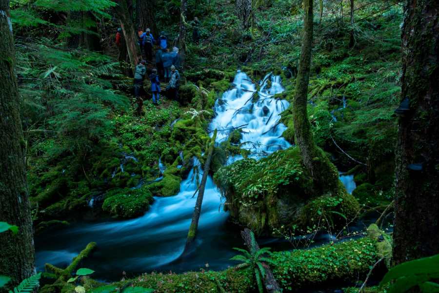 Oregon mountain spring