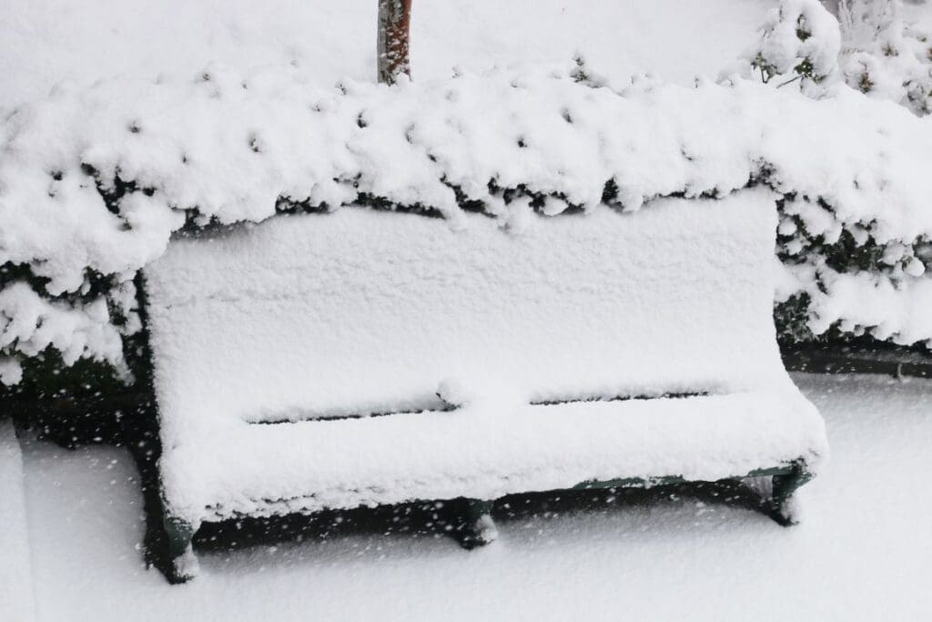 Massive storm slams US with snow, ice, bitter cold Bench covered in snow