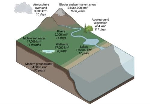 Graphic: Rapid Return of Water from Ground to Atmosphere through Plants