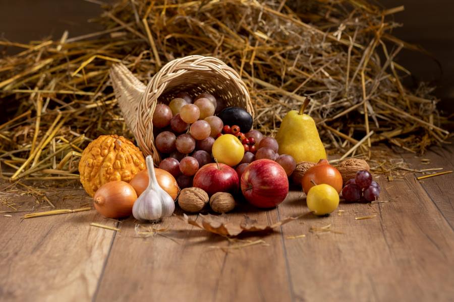 Festive cornucopia arrangement with delicious fruits (s. climate resilience, research)