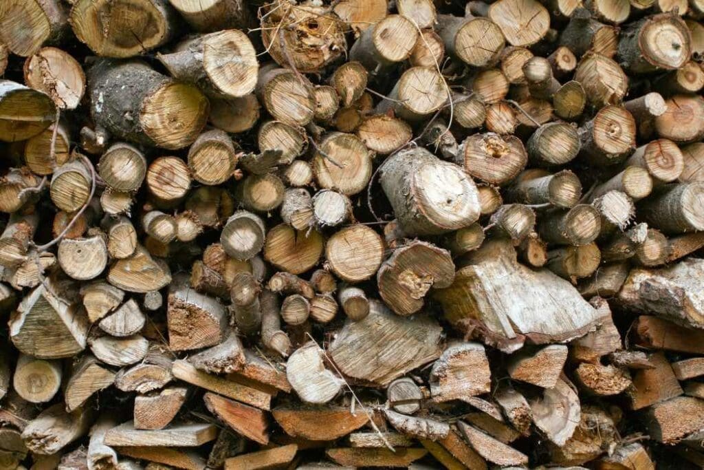 Indonesia deforestation rises for third year running: NGO Image: Sawed wooden texture, close up (s Deforestation)