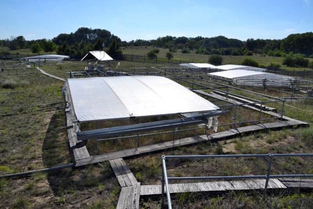 New research uncovers how decreased rainfall and drought affect plant diversity Image: The experimental area in Fülöpháza, Central Hungary