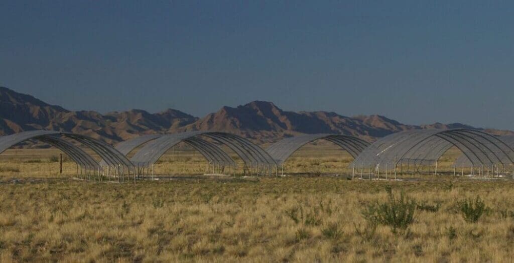 One of the research sites in China used during the project. The 12 total test sites are collectively known as the Extreme Drought in Grasslands Experiment (EDGE)