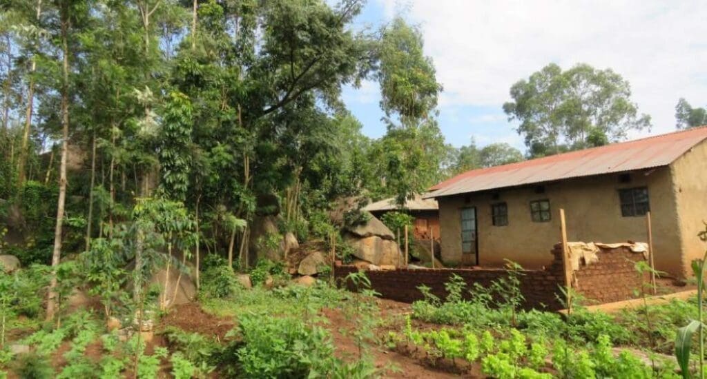 A smallholder farm in Vihiga County in Western Kenya